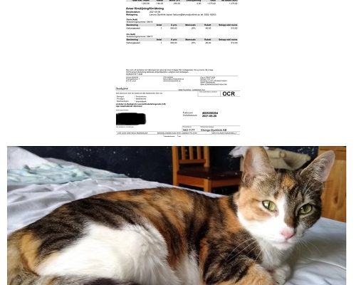 Redovisning Doris och Iris