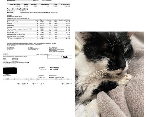 Redovisning/Uppdatering Jill