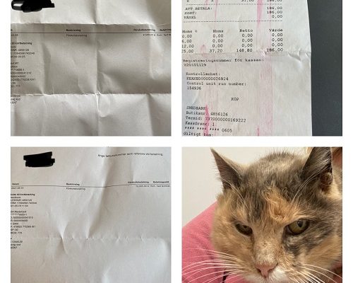 Redovisning/Uppdatering Prinsessan