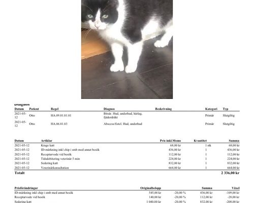 Redovisning/Uppdatering Otto