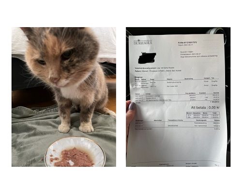 Redovisning Prinsessan