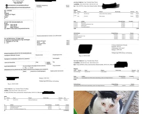 Redovisning Otto, Sonja, Frans och Anita