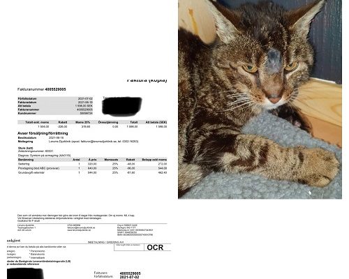 Redovisning/Uppdatering Sture