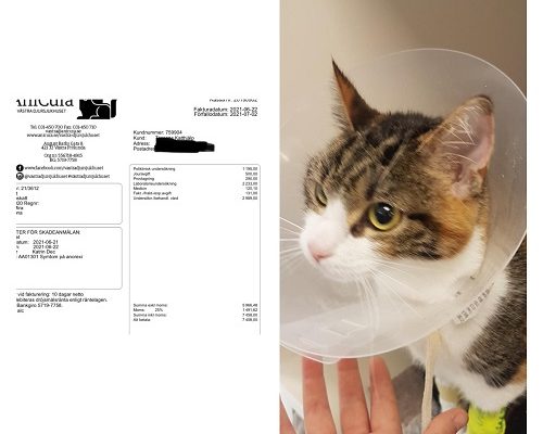 Redovisning/Uppdatering Mira