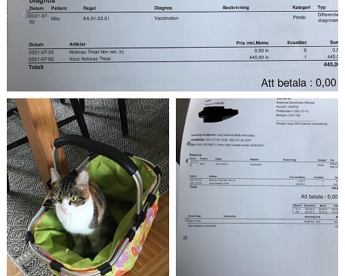 Redovisning Mira och Nala