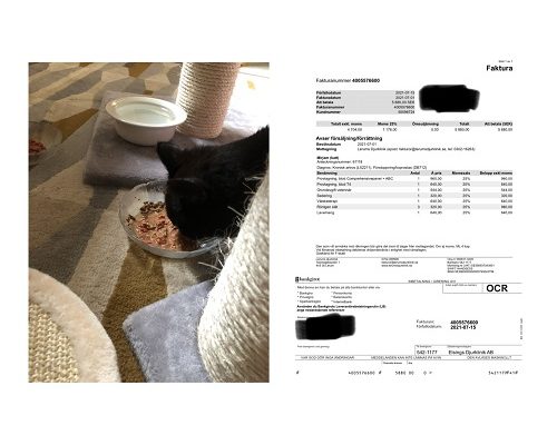 Redovisning/Uppdatering Mirjam