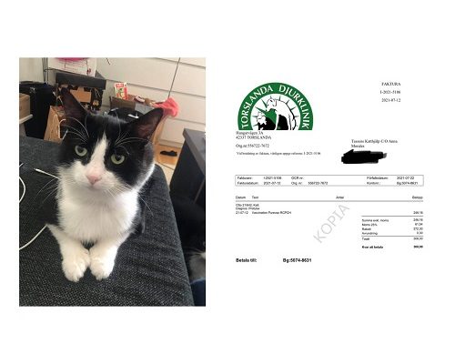 Redovisning Skeppskatten Otto