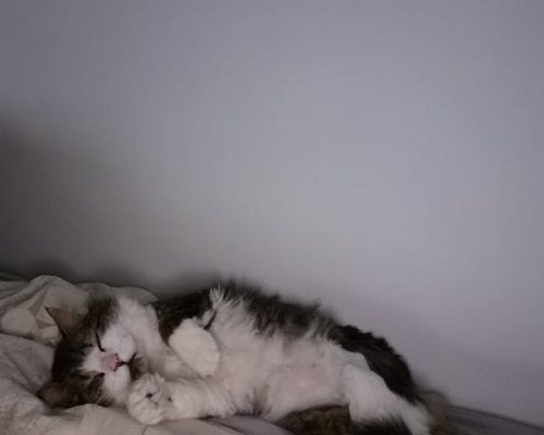 Akut Nödrop Göteborg med Omnejd