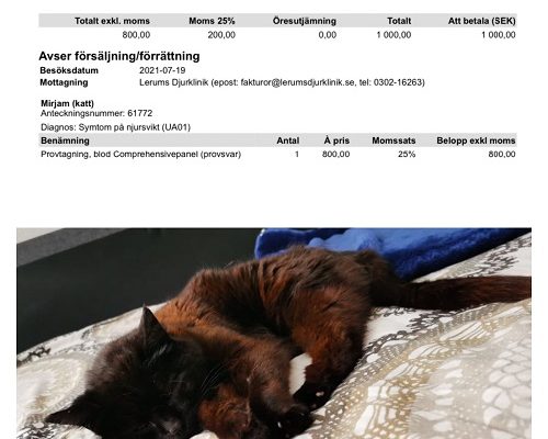 Redovisning/Uppdatering Mirjam