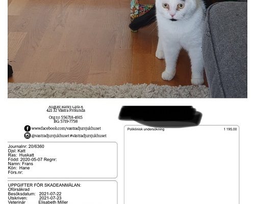 Redovisning/Uppdatering Frans