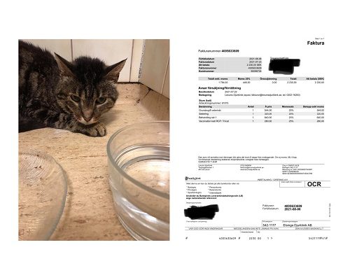 Redovisning/Uppdatering Sture