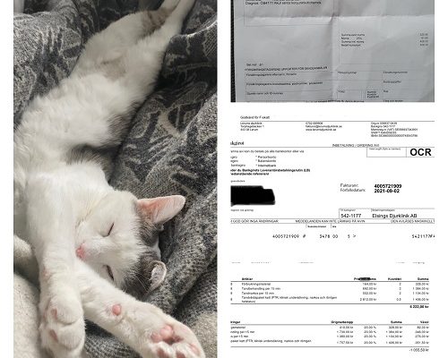 Redovisning Anita, Asheera och Frans