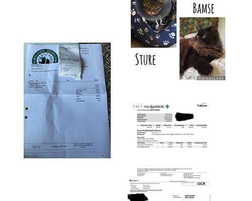 Redovisning Sture och Bamse