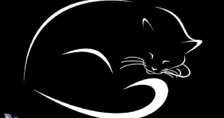 Tillfälliga hem sökes