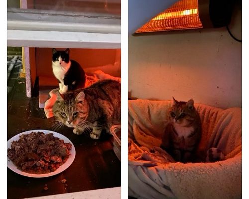 Akut Nödrop/Insamling