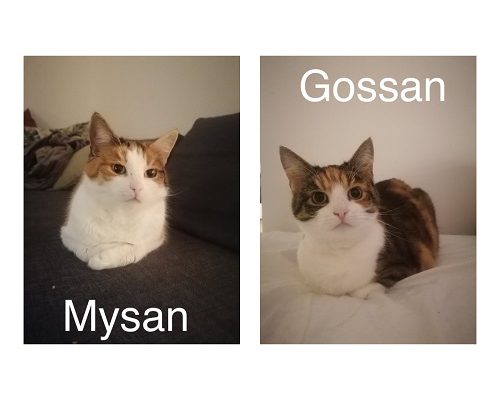 Mysan och Gossan