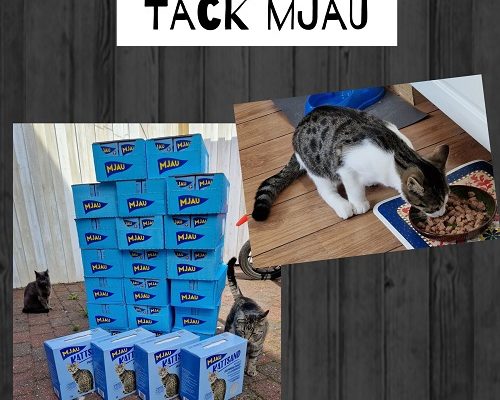 Leverans från Mjau Gåvoshop