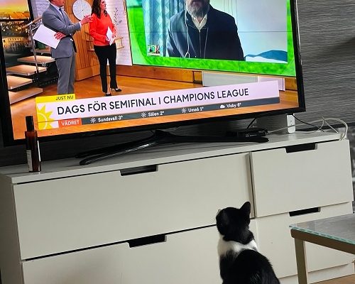 En liten hälsning från Selma