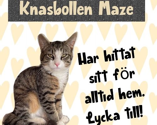 Uppdatering Knasbollen Maze