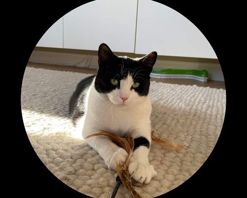 Malou har hittat sitt föralltidhem