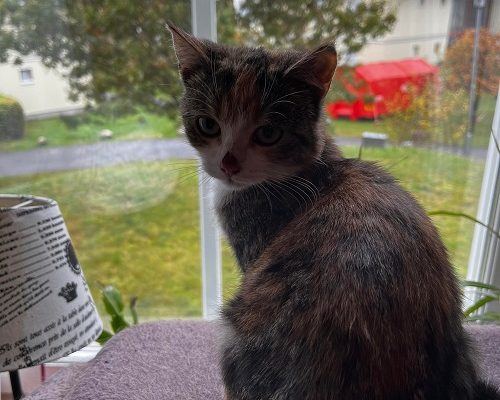 Hälsning från Helga