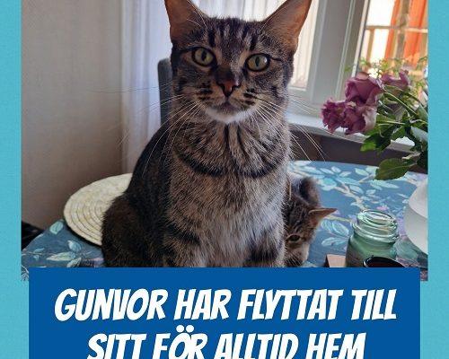Grattis Gunvor
