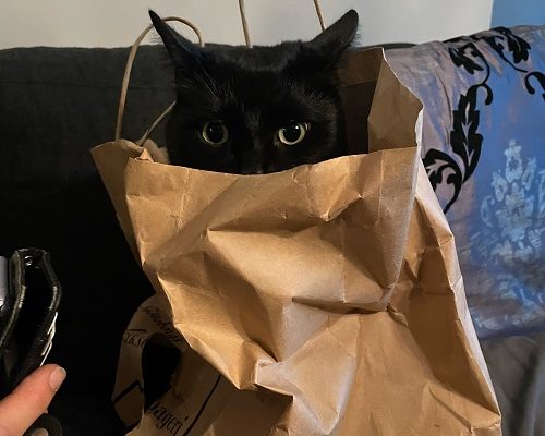 Imorgon är det lotteri