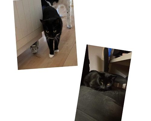 Supermegaakut nödrop