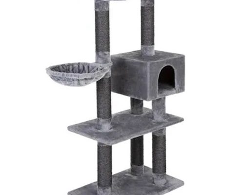 Lotteri Katträd
