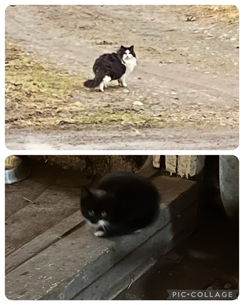 Akut Nödrop