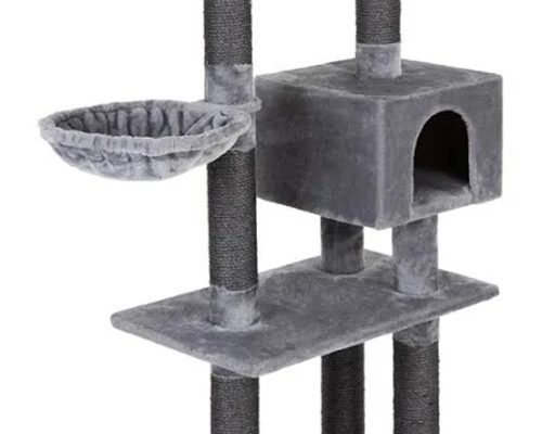 Lotteri Katträd