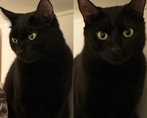 Mia